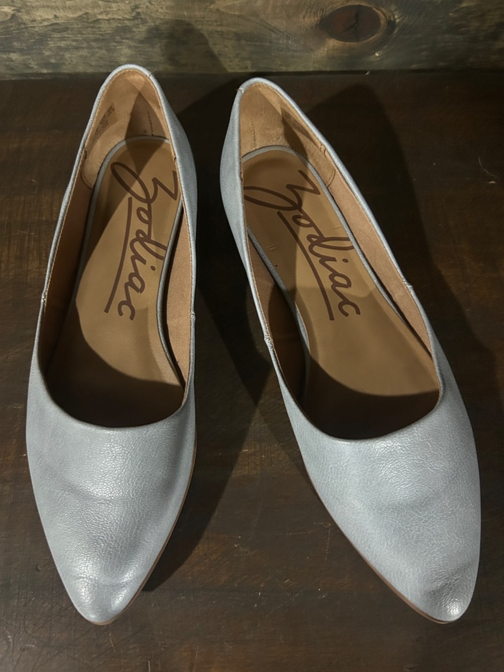 Zodiac Silver Pointed-Toe Ballet Flats